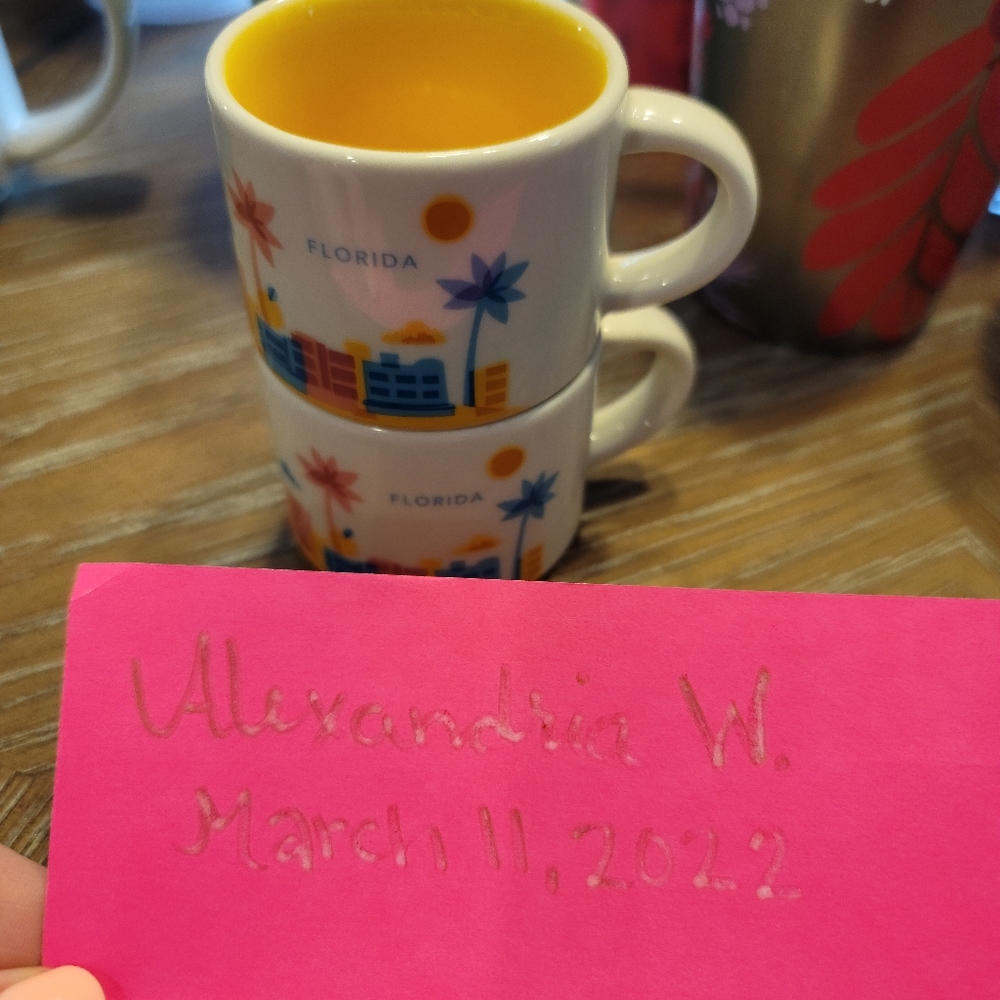 NWOT STARBUCKS FLORIDA YOU ARE HERE MINI CERAMIC MUG